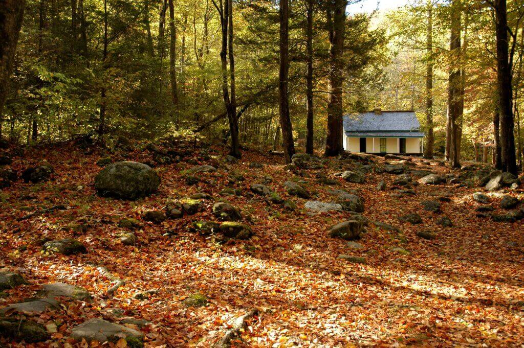 Smoky Mountain Autumn Scenes